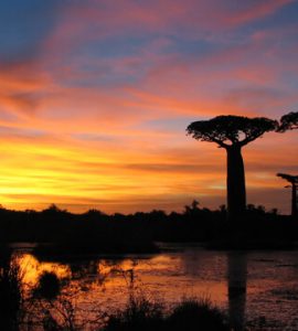 PESA Editorial - Madagascar - 1Q2017/18