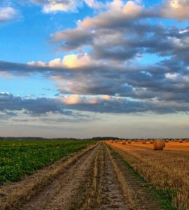 PESA Editorial - Namibia - 1Q2017/18