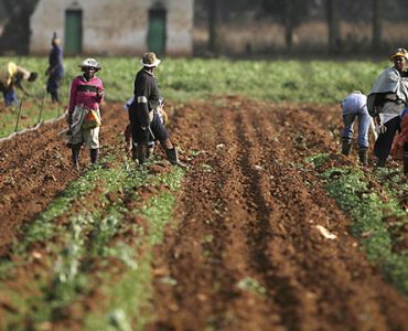 Kenya Land Reform and Rural Transformation Overview