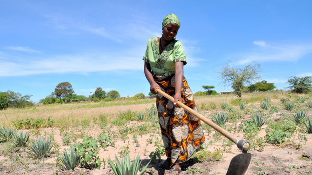 Tanzania Land Reform and Rural Transformation Overview