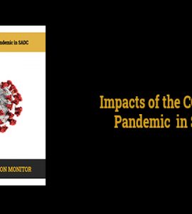Impacts of the COVID-19 Pandemic in SADC